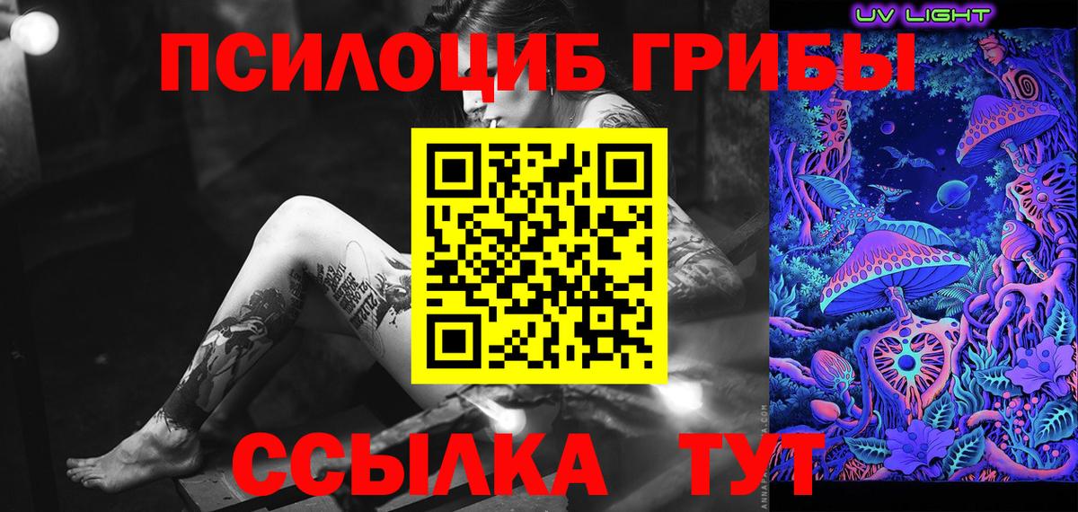 где купить   Вход с VPN  Анжеро-Судженск  Галлюциногенные грибы Psilocybine cubensis 