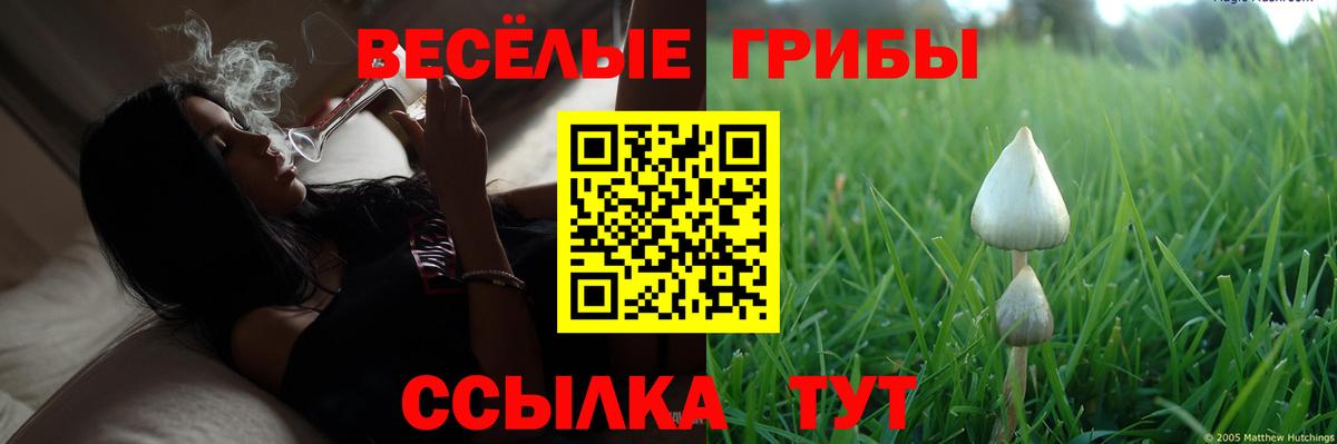 Псилоцибиновые грибы прущие грибы Анжеро-Судженск